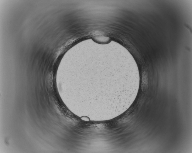 X0000103460492200810240953