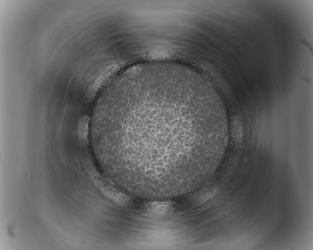 X0000103460495200810240953