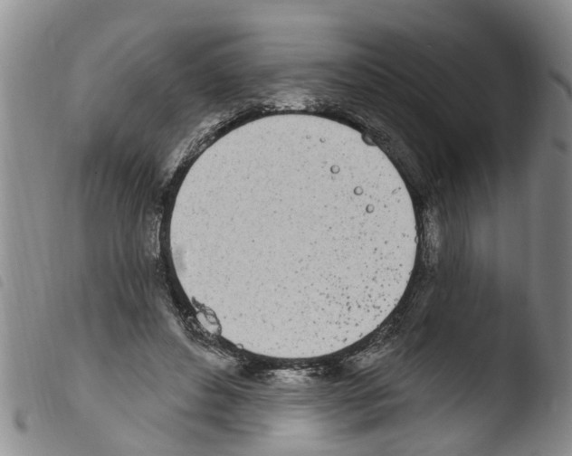 X0000103460496200810240953