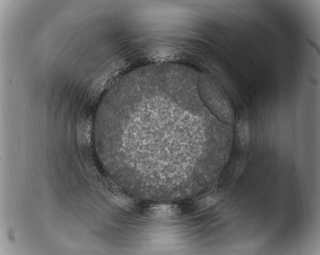 X0000103460499200810240953