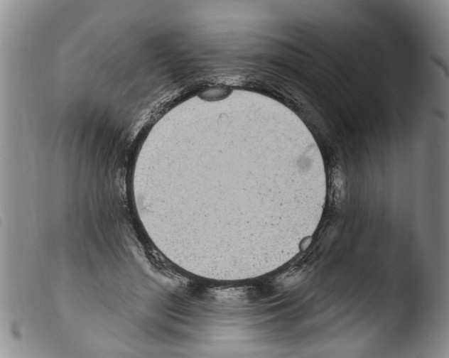 X0000103460500200810240953