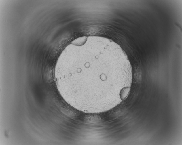 X0000103460503200810240952