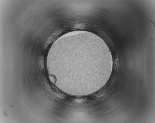 X0000103460504200810240952