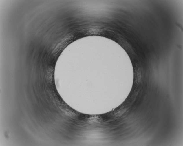 X0000103460505200810240952