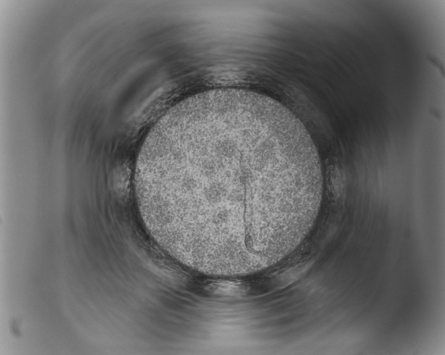 X0000103460507200810240952
