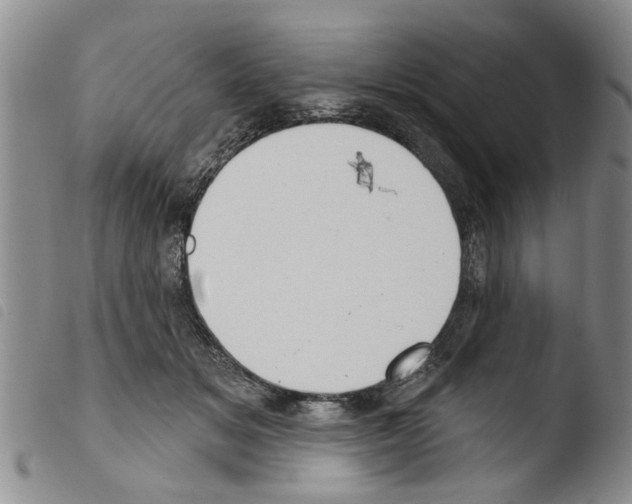 X0000103460509200810240952