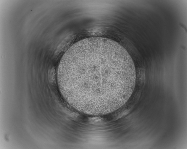 X0000103460511200810240952