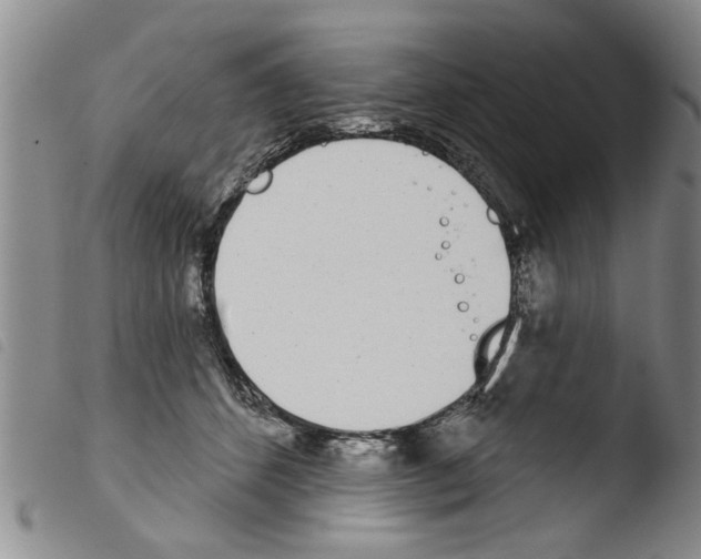 X0000103460512200810240952