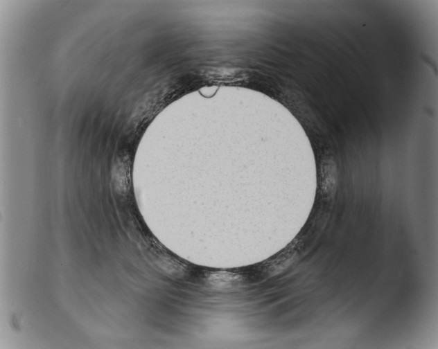 X0000103460515200810240952