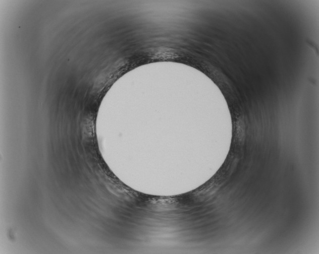 X0000103460517200810240952