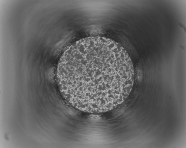 X0000103460519200810240952