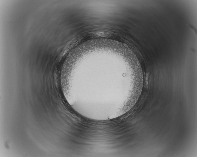 X0000103460520200810240952