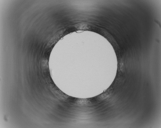 X0000103460521200810240952