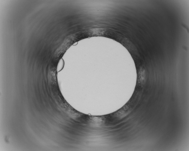 X0000103460522200810240952
