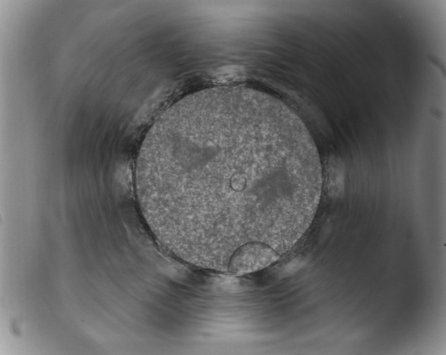 X0000103460523200810240952
