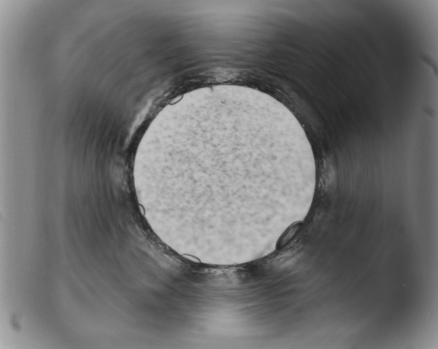 X0000103460524200810240952