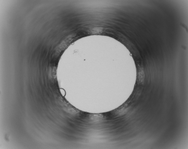 X0000103460525200810240952