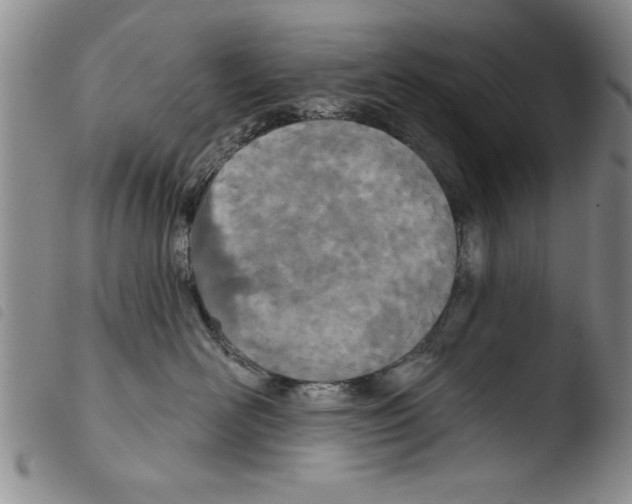 X0000103460526200810240952