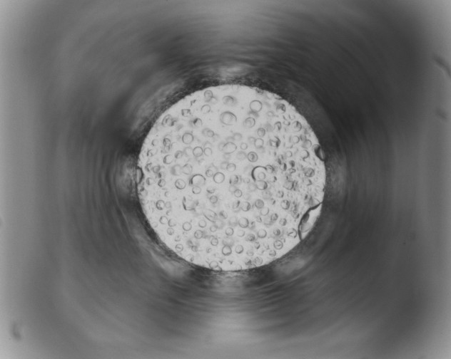 X0000103460527200810240952