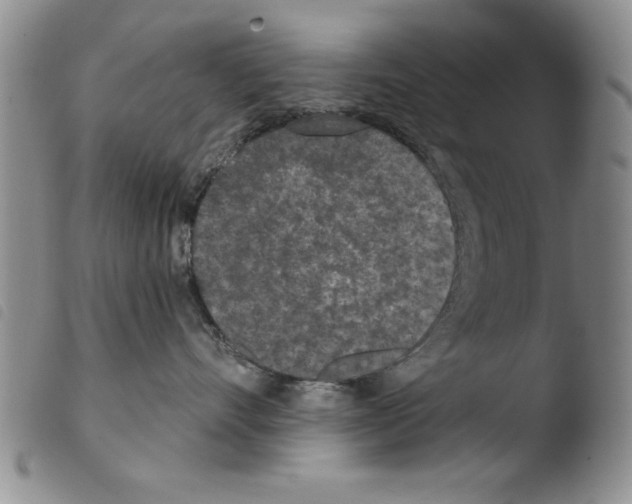 X0000103460528200810240952