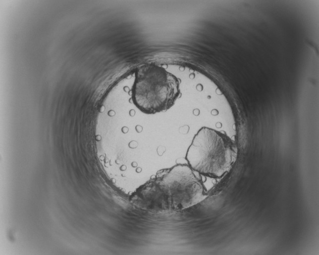 X0000103460529200810240951