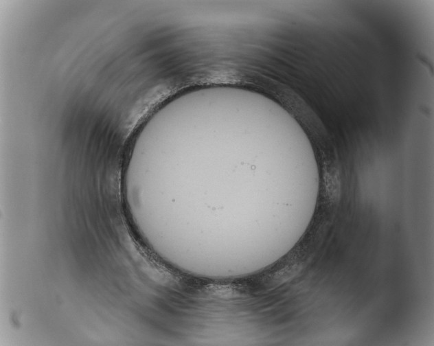 X0000103460534200810240952