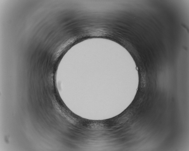 X0000103460535200810240952
