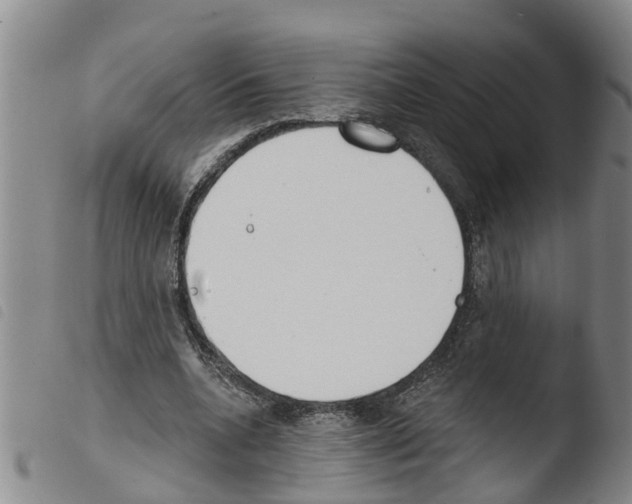X0000103460536200810240952