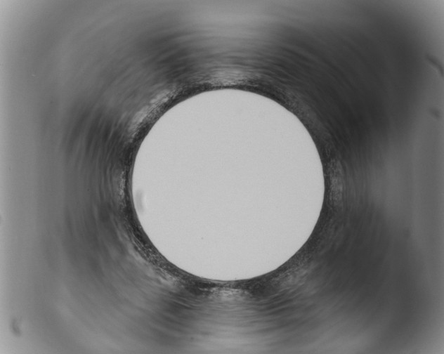X0000103460539200810240952