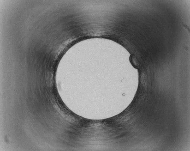 X0000103460540200810240952