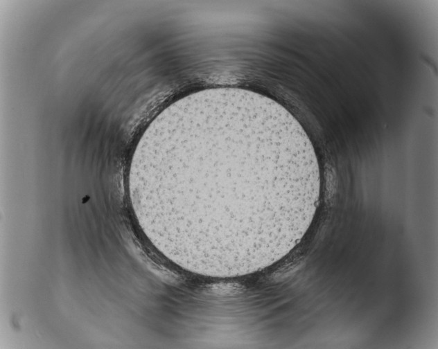 X0000103460541200810240952