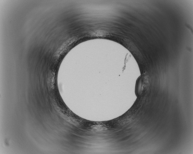 X0000103460544200810240952