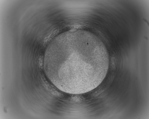 X0000103460545200810240952