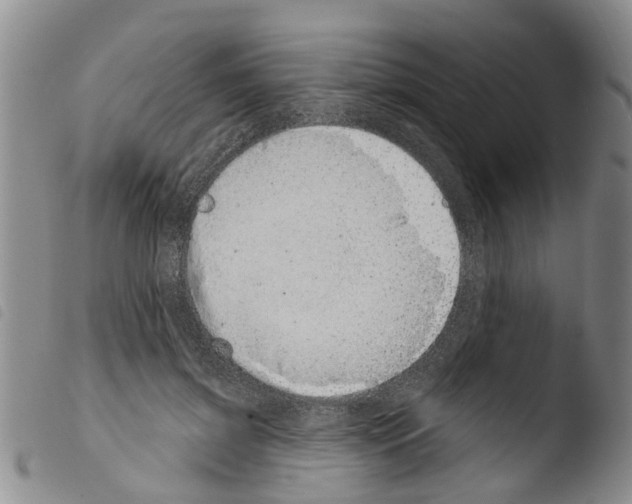 X0000103460549200810240952