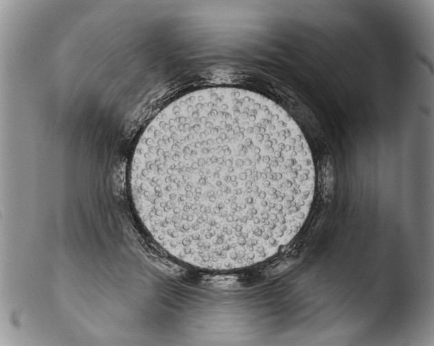X0000103460554200810240952