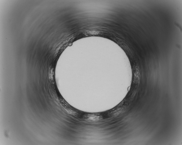 X0000103460555200810240952