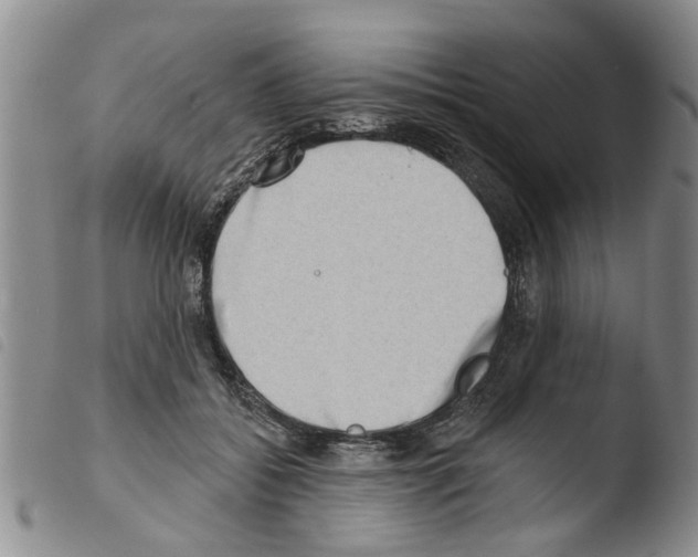 X0000103460556200810240952