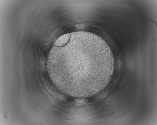 X0000103460557200810240952