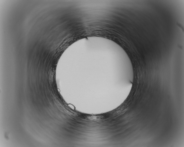 X0000103460558200810240952