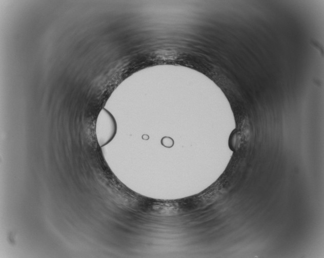 X0000103460559200810240952
