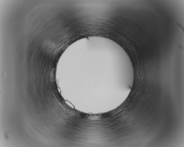 X0000103460560200810240952
