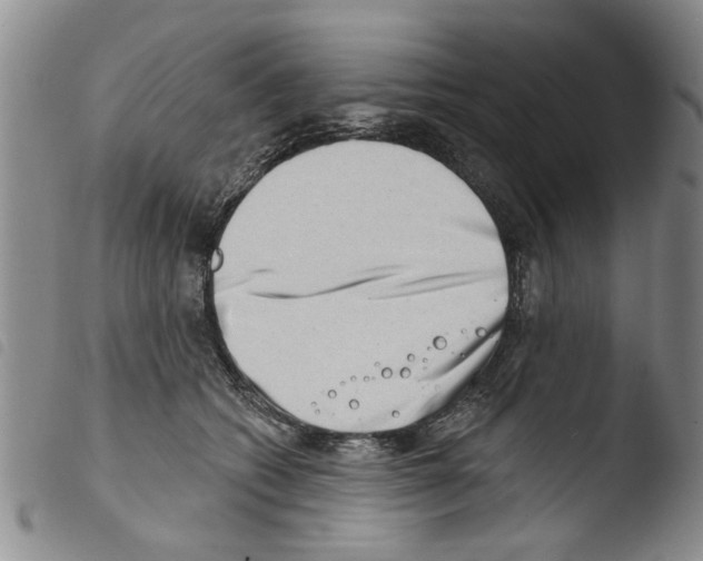 X0000103460562200810240952