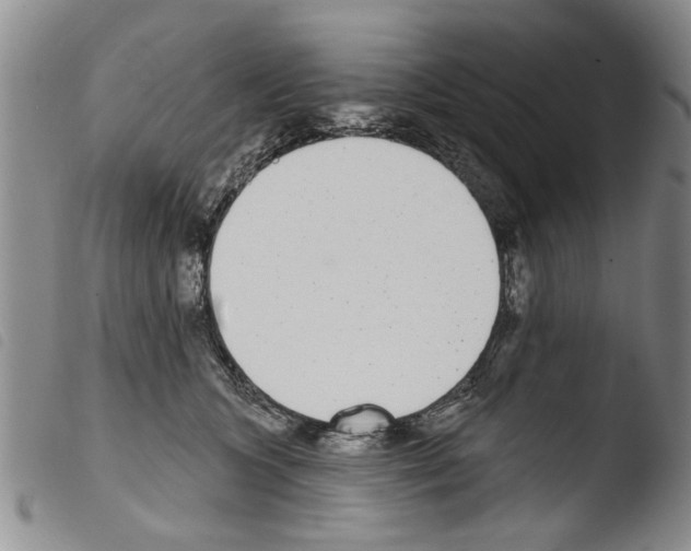 X0000103460563200810240952