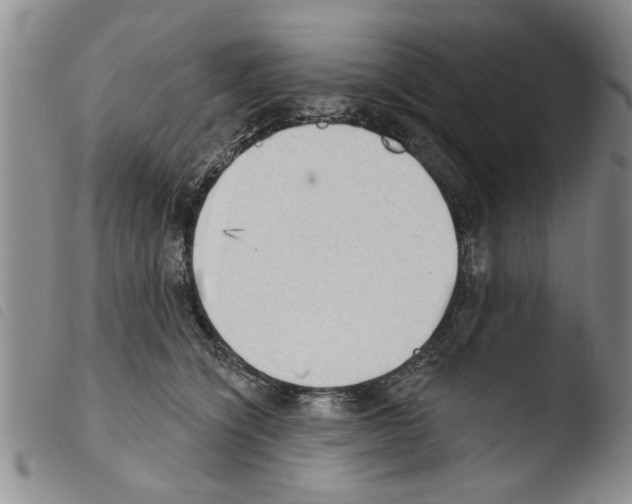 X0000103460564200810240952