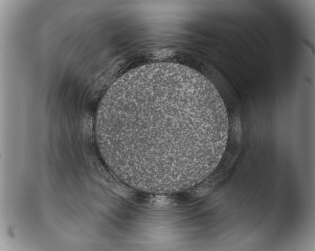 X0000103460565200810240952