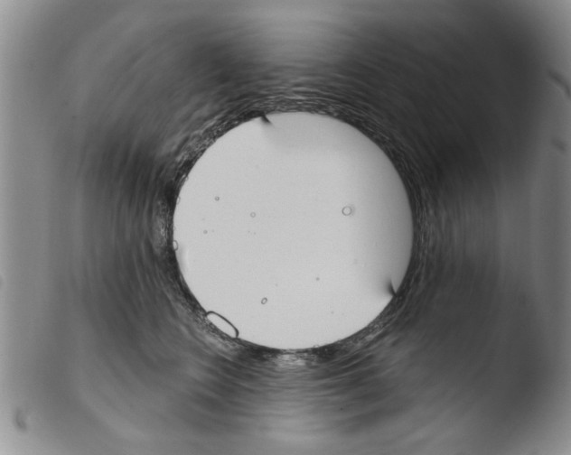 X0000103460566200810240952