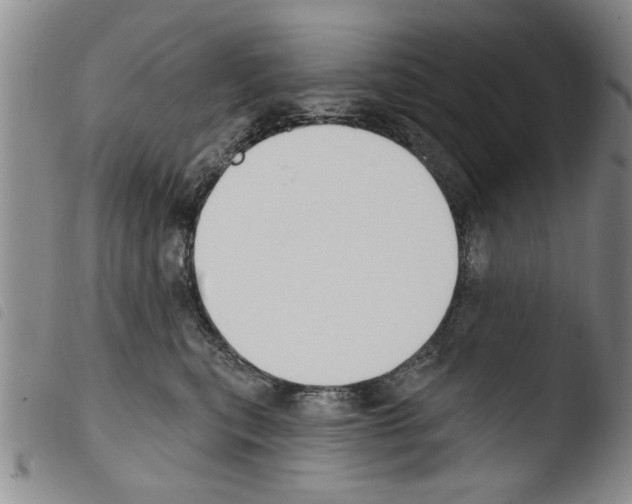 X0000103460567200810240952