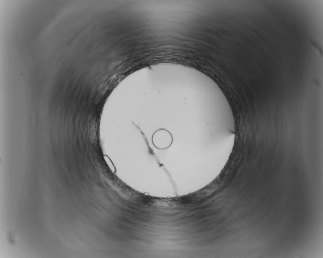 X0000103460568200810240952
