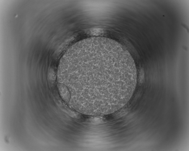 X0000103460569200810240952