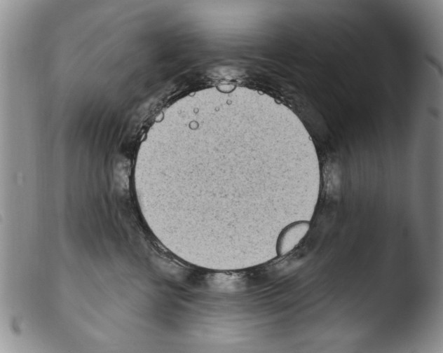 X0000103460570200810240952